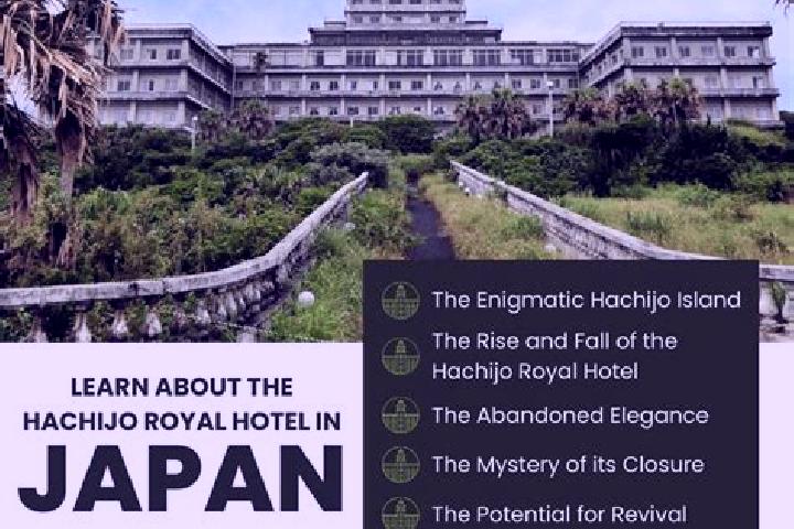 Avery, 37 — Escort in Hachijo, Japan