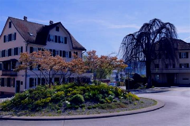 Avery, 38 — Escort in Richterswil / Richterswil (Dorfkern), Switzerland