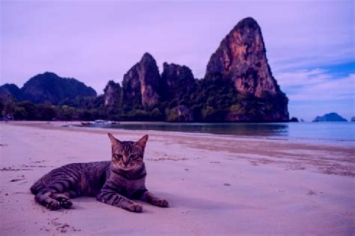 Avery, 39, a chestnut hazel-eyed caucasian companion based in Bonneau Beach. Offering 69, Erotic Massage, Massage, Party Girl, Girlfriend Experience. Availab...