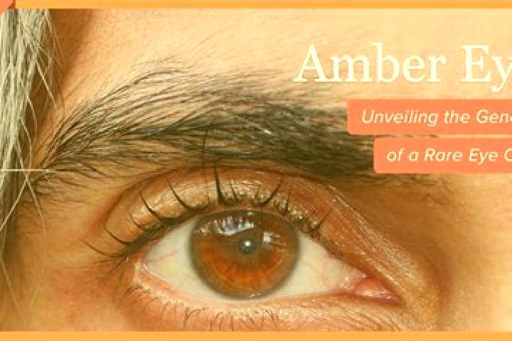 Avery, 39, a red amber-eyed middle eastern companion based in Arbuzynka. Offering Domination, Striptease, Overnight. Available for incall and outcall, overni...