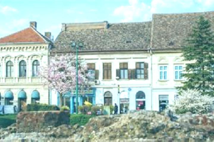 Avery, 39 — Escort in Sremska Kamenica, Serbia