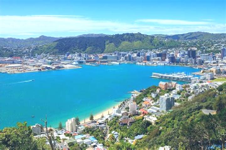 Avery, 39 — Escort in Wellington, New Zealand