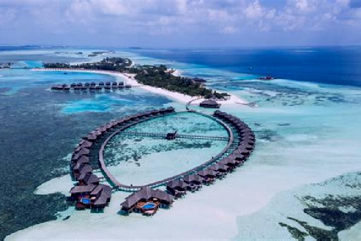 Browse escort listings across 1 pages of cities in Maldives. Local companions, services and rates. Page 1 of 1.