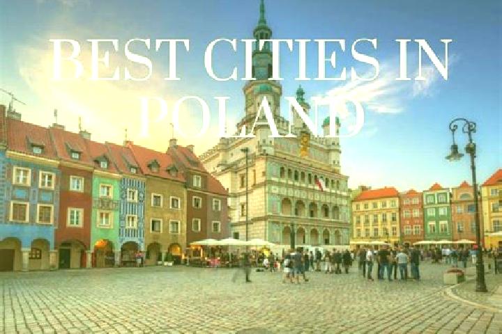 Browse escort listings across 78 pages of cities in Poland. Local companions, services and rates. Page 24 of 78.