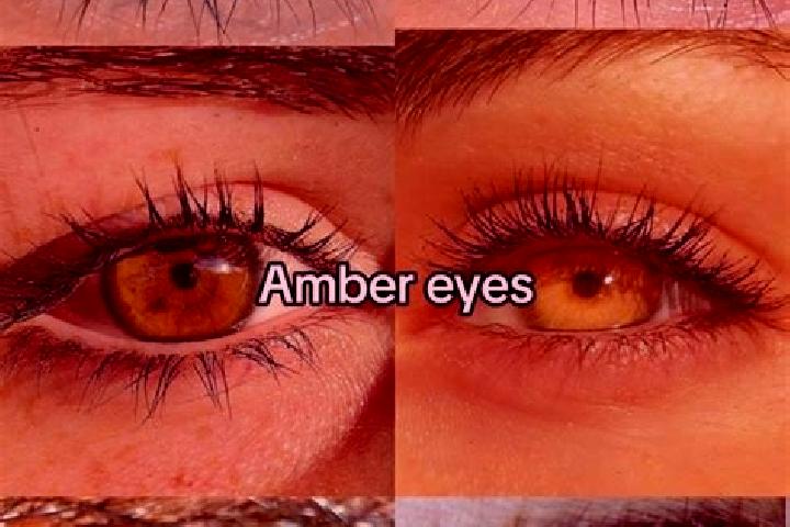 Chloe, 20, a chestnut amber-eyed indian companion based in Nema. Offering CIM, Travel Companion, Overnight. Available for incall and outcall, day and evening...