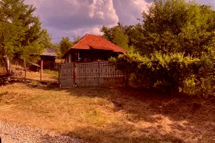 Chloe, 20 — Escort in Blahnita de Sus, Romania