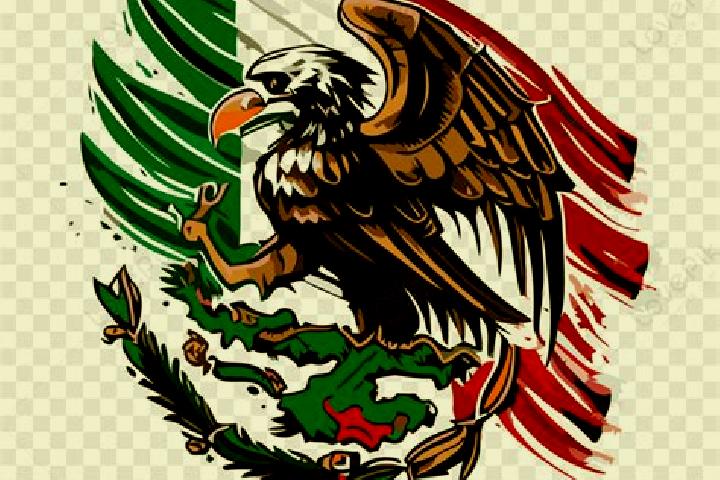 Chloe, 20 — Escort in Campo de Aguila, Mexico