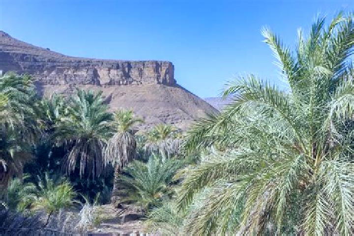 Chloe, 20 — Escort in Dar el Barka, Mauritania