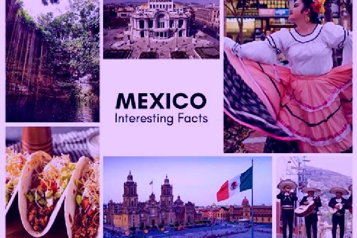 Chloe, 20 — Escort in Iraguato, Mexico