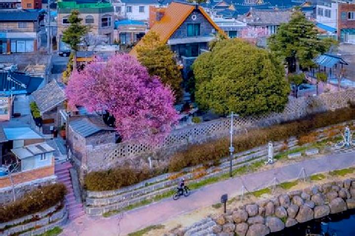 Chloe, 20 — Escort in Okcheon, South Korea