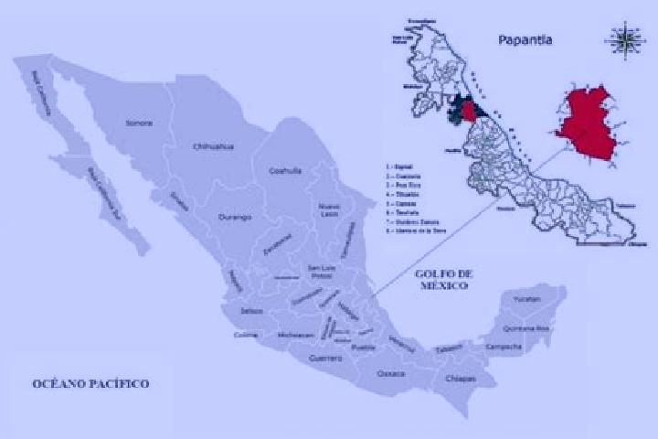 Chloe, 20 — Escort in Papantla de Olarte, Mexico