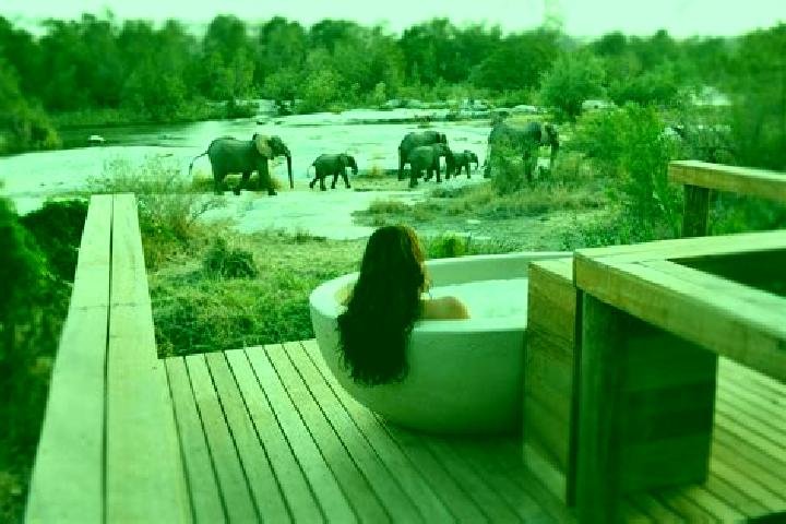 Chloe, 20 — Escort in Sabi-Sand Game Reserve, South Africa