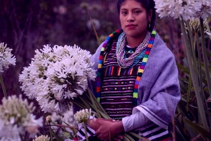 Chloe, 20 — Escort in San Jose Xochixtlan, Mexico