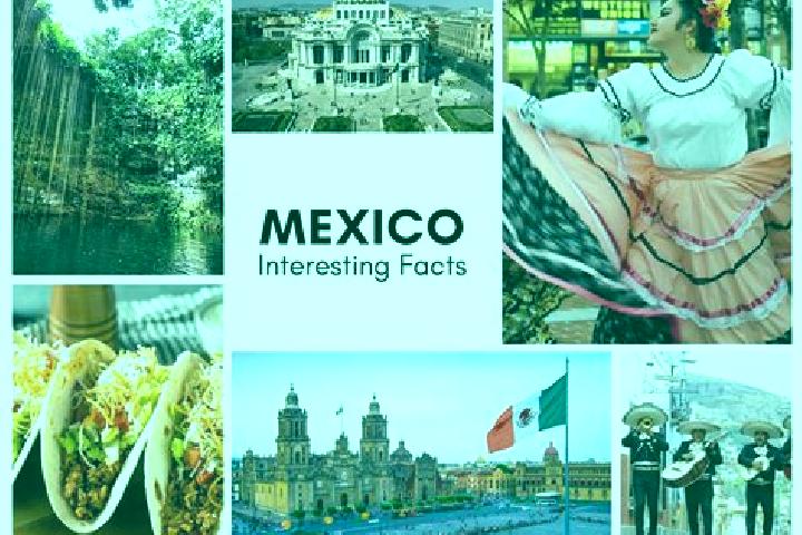 Chloe, 20 — Escort in Tepexoxuca, Mexico