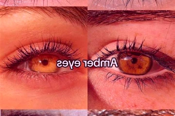Chloe, 21, a brunette amber-eyed european companion based in Ponornytsia. Offering GFE, Domination, Girlfriend Experience. Available for incall and outcall, ...