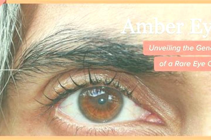 Chloe, 21, a red amber-eyed ebony companion based in Udhailiyah. Offering Couples, Overnight, Prostate Massage, Deep French Kissing, Domination. Available fo...