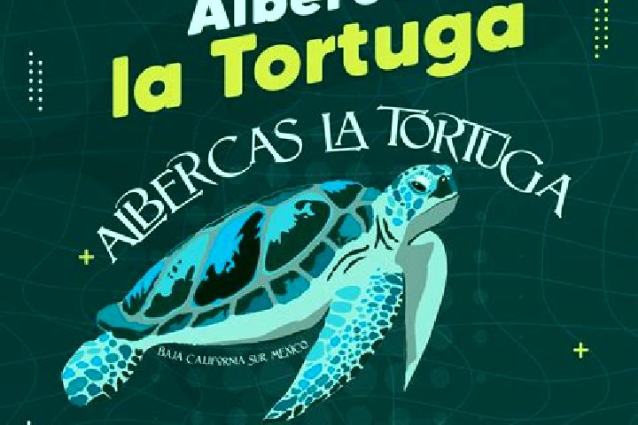 Chloe, 21 — Escort in La Tortuga, Mexico