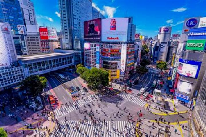 Chloe, 21 — Escort in Shibuya, Japan