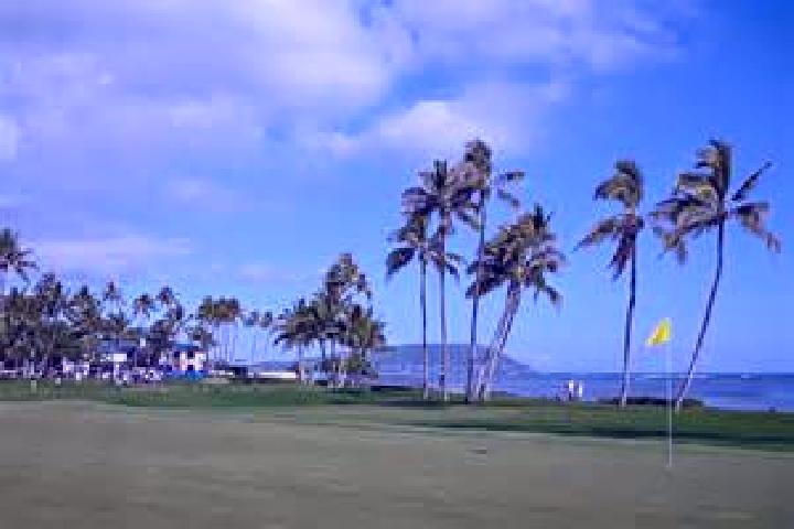 Chloe, 22, a blonde amber-eyed caribbean companion based in Wai alae Nui-Country Club. Offering Fetish, BDSM, Couples. Available for incall and outcall, day ...