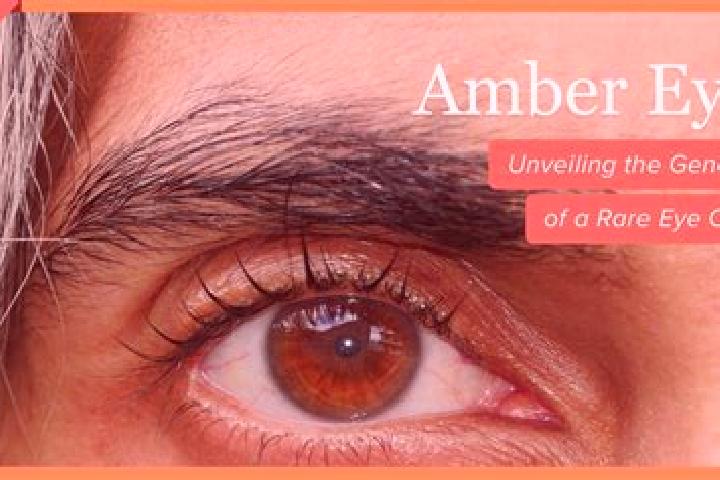 Chloe, 22, a red amber-eyed caribbean companion based in Novaci. Offering Couples, Massage, Roleplay, Striptease. Available for incall and outcall, day and e...