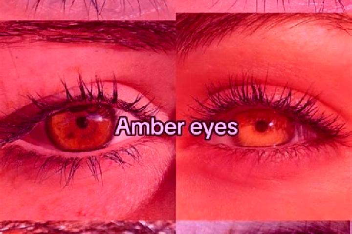 Chloe, 23, a chestnut amber-eyed latina companion based in An Thi. Offering 69, OWO, Prostate Massage, GFE. Available for incall and outcall, overnight booki...
