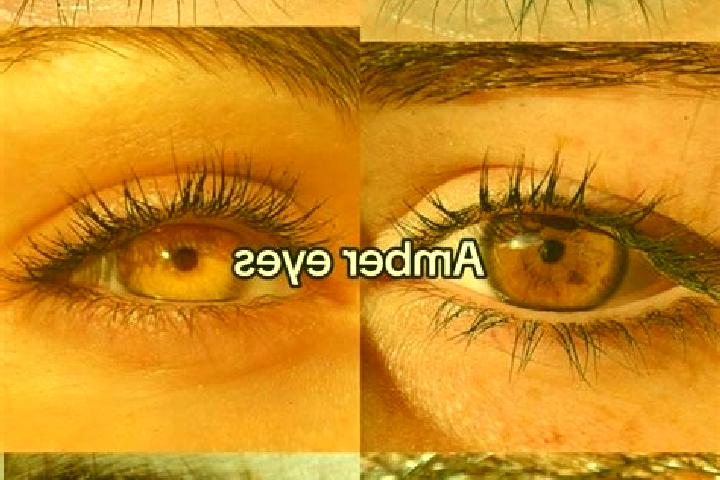 Chloe, 23, a chestnut amber-eyed slavic companion based in Oberlangenberg. Offering Massage, Erotic Massage, Tantra, Couples. Available for incall and outcal...