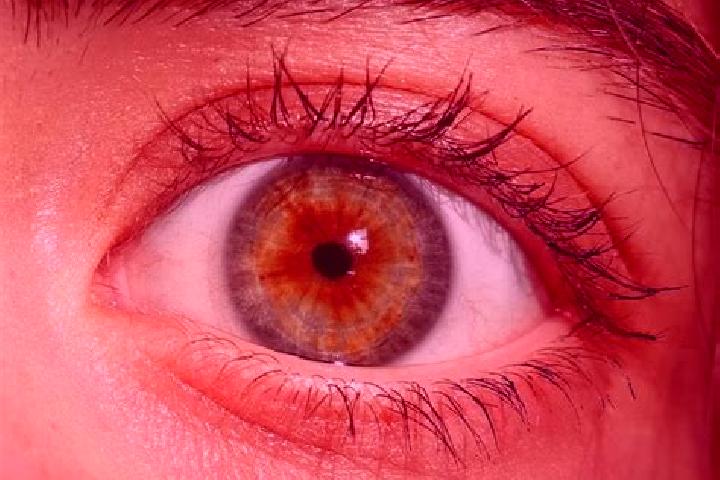 Chloe, 23, a red hazel-eyed mediterranean companion based in Grant City. Offering A-Level, Couples, GFE, Fetish, Domination. Available for incall and outcall...