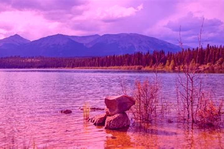 Chloe, 24 — Escort in Burns Lake, Canada
