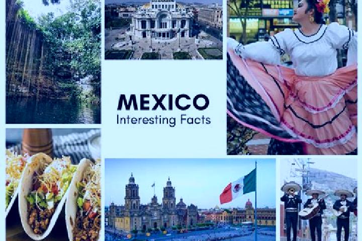 Chloe, 24 — Escort in El Siviral, Mexico