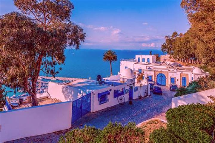 Chloe, 24 — Escort in Sidi Amor Bou Hajela, Tunisia