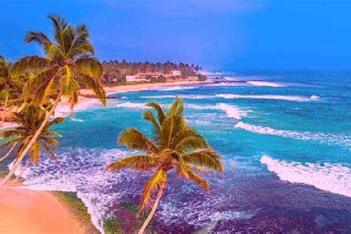 Chloe, 24 — Escort in Unawatuna, Sri Lanka
