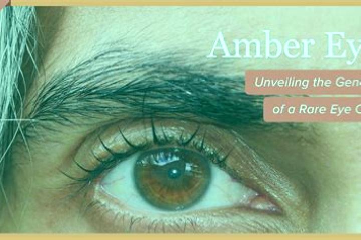 Chloe, 25, a red amber-eyed mediterranean companion based in Planalto Alegre. Offering Girlfriend Experience, OWO, A-Level. Available for incall and outcall,...