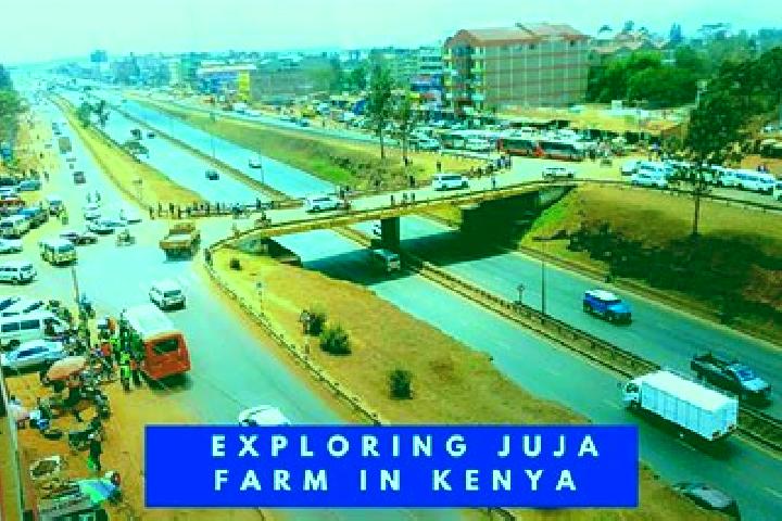 Chloe, 25 — Escort in Juja, Kenya