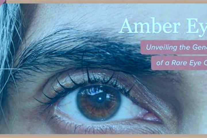 Chloe, 26, a black amber-eyed european companion based in Casas Adobes. Offering Massage, Roleplay, Deep French Kissing, Overnight. Available for incall and ...