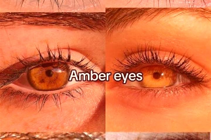Chloe, 26, a brunette amber-eyed mixed companion based in Bene. Offering Massage, 69, Deep French Kissing. Available for incall and outcall, day and evening ...