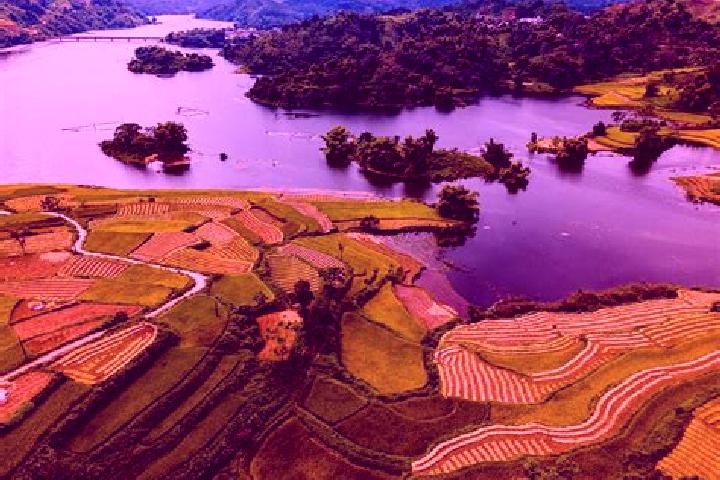 Chloe, 27 — Escort in Tuyen Quang, Vietnam