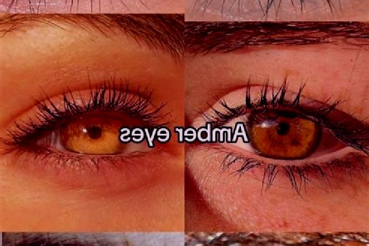 Chloe, 28, a chestnut amber-eyed caucasian companion based in Westouter. Offering Massage, Couples. Available for incall and outcall, overnight bookings avai...