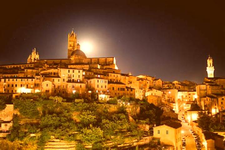 Chloe, 28 — Escort in Arceto, Italy