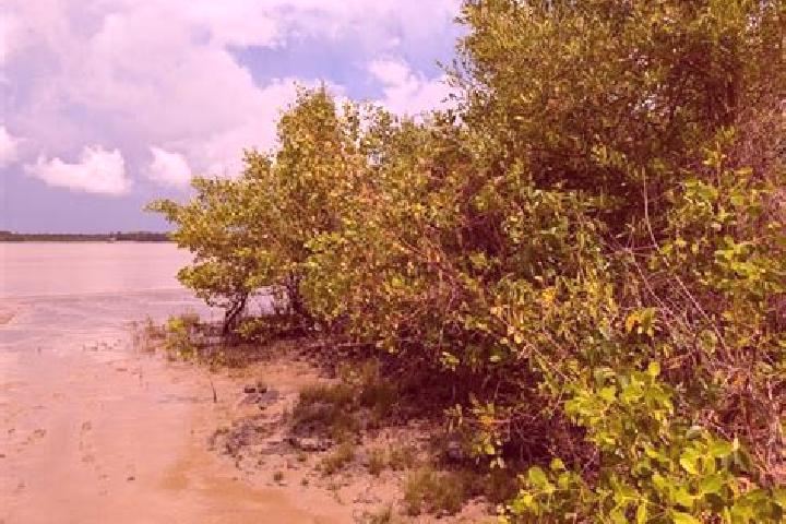 Chloe, 28 — Escort in Weg naar Zee, Suriname