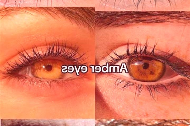 Chloe, 29, a chestnut amber-eyed middle eastern companion based in Nueva Esperanza. Offering Overnight, CIM, A-Level, Prostate Massage, 69. Available for inc...