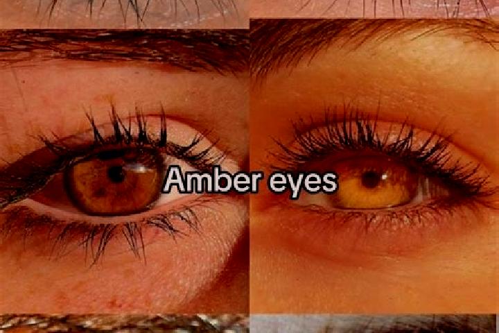 Chloe, 29, a chestnut amber-eyed mixed companion based in San Eligio. Offering BDSM, GFE, Deep French Kissing, Party Girl. Available for incall and outcall, ...
