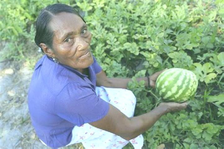 Chloe, 29 — Escort in Palkaka, Honduras