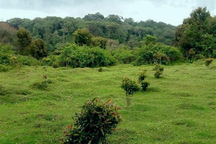 Chloe, 30 — Escort in Burnt Forest, Kenya