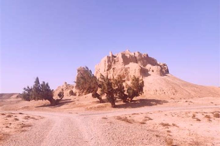 Chloe, 30 — Escort in Farah, Afghanistan