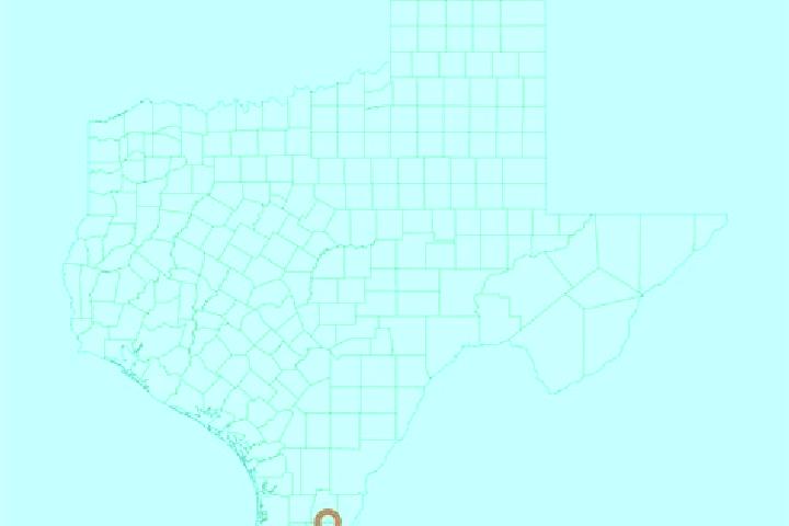 Chloe, 30 — Escort in Garza-Salinas II, United States