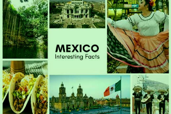 Chloe, 30 — Escort in Irolo, Mexico