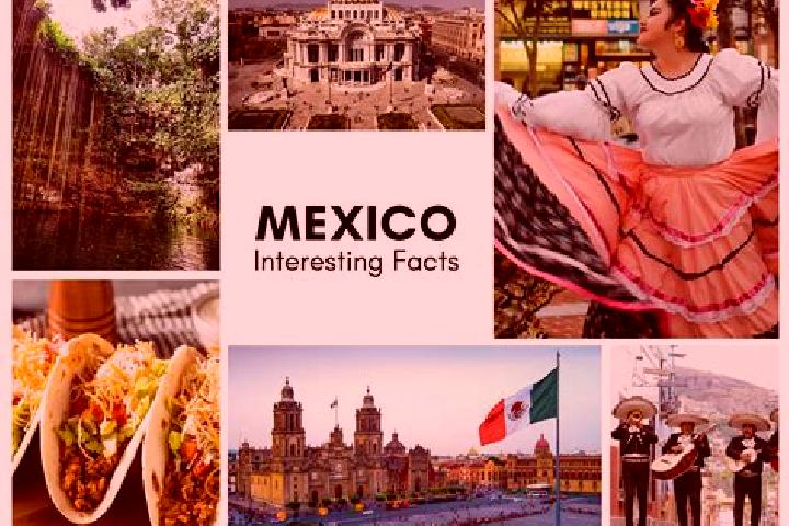 Chloe, 31 — Escort in Tepuxta, Mexico