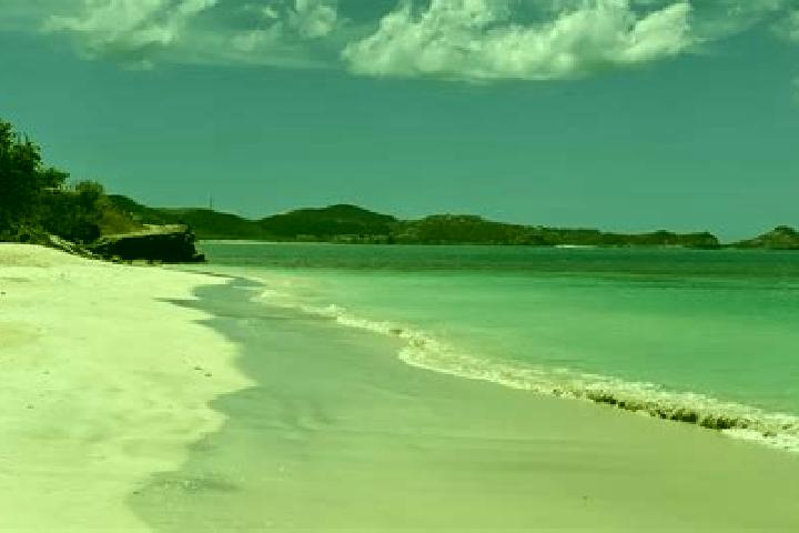 Chloe, 32 — Escort in Codrington, Antigua and Barbuda