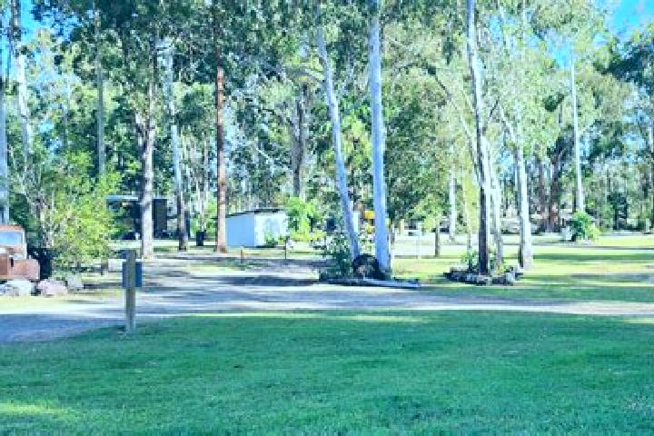 Chloe, 32 — Escort in Pie Creek, Australia