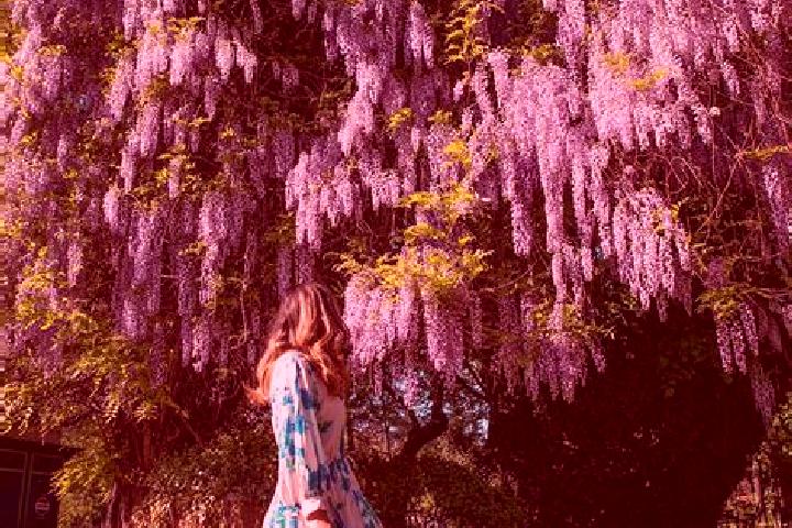 Chloe, 32 — Escort in Schitu, Romania